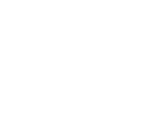 Support icon