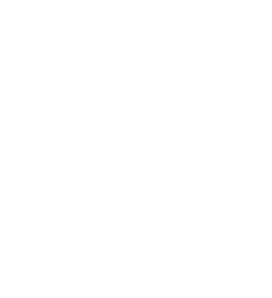 Value icon