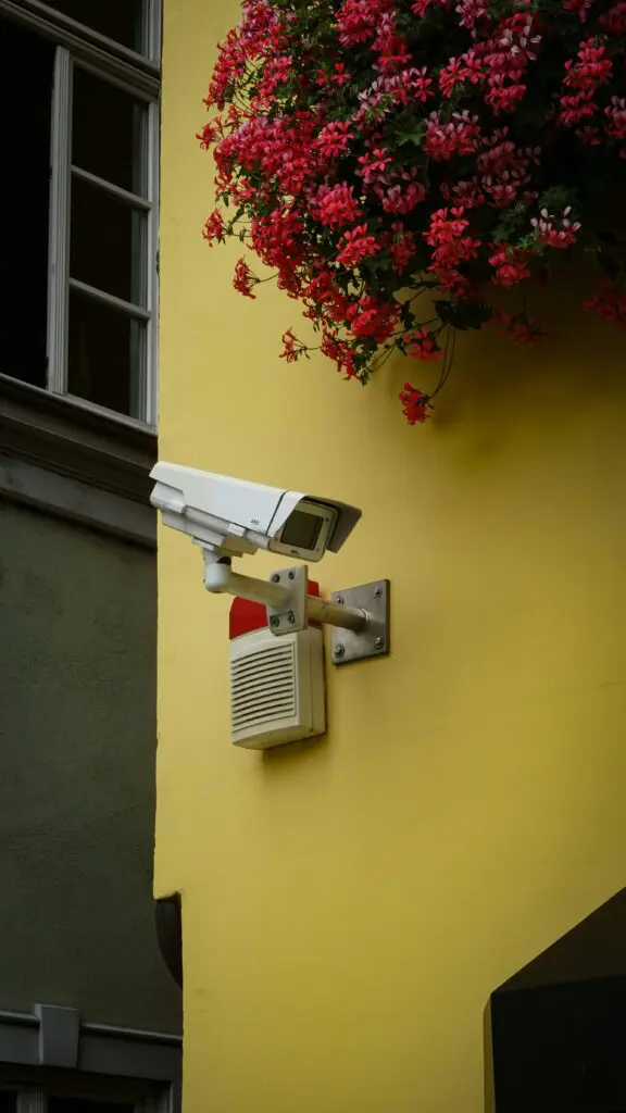 camera by hanging flowers
